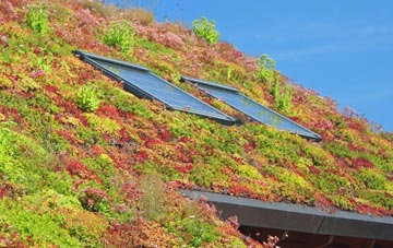 Harmans Corner living roof systems